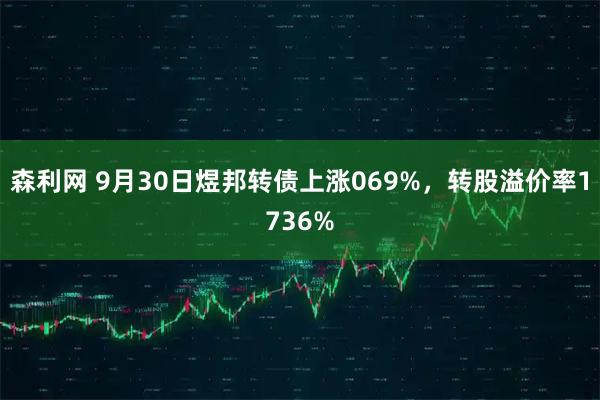 森利网 9月30日煜邦转债上涨069%，转股溢价率1736%