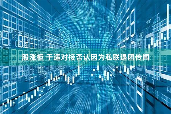 股涨柜 于适对接否认因为私联退团传闻