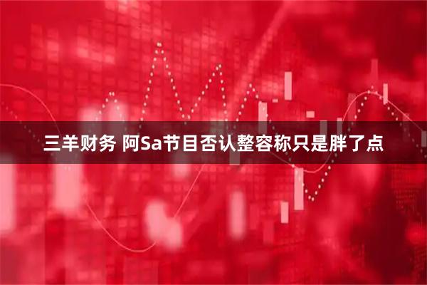 三羊财务 阿Sa节目否认整容称只是胖了点